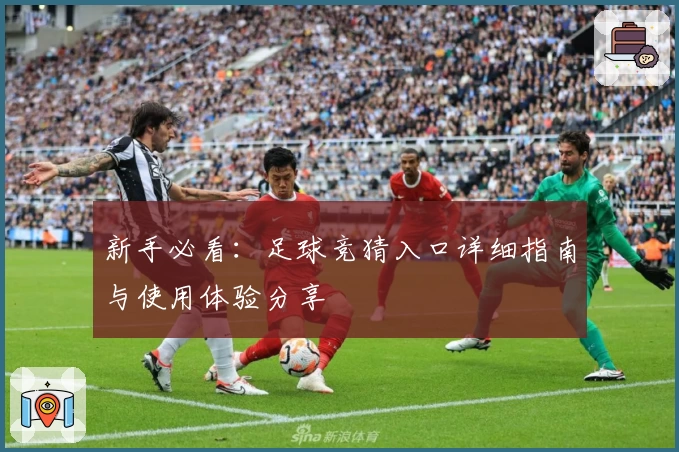 新手必看：足球竞猜入口详细指南与使用体验分享