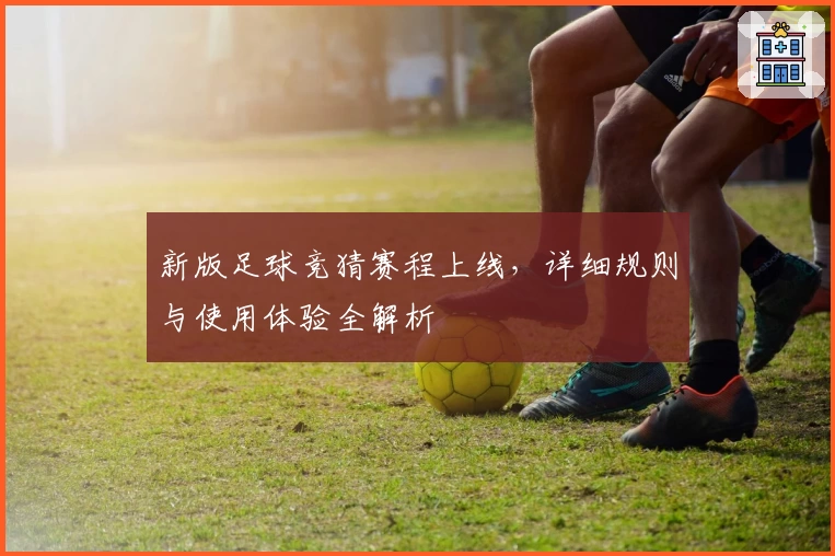 新版足球竞猜赛程上线，详细规则与使用体验全解析